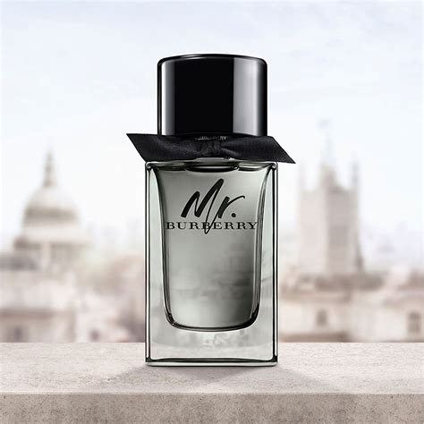 nước hoa burberry mr leflair|mr Burberry 100ml.